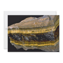 Tiger's eye custom invitations