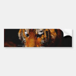 Tigers eyes bumper sticker