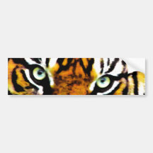 Tigers Eyes_ Bumper Sticker