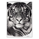 Tiger's Eyes cards by rondys Tiger's Eyes cards