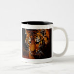 Tigers eyes coffee mugs