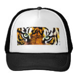 TIGER'S EYE'S_ HATS