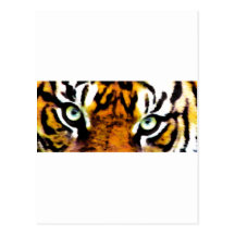 TIGER'S EYE'S_ POSTCARDS