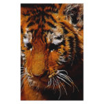 Tigers eyes stationery