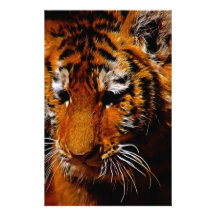 Tigers eyes stationery