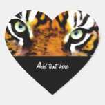 TIGER'S EYE'S_ STICKERS