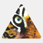 TIGER'S EYE'S_ TRIANGLE STICKERS