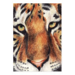 Tiger's Gaze ACEO Art Trading Cards Business Card