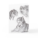 Tigers in black greeting card