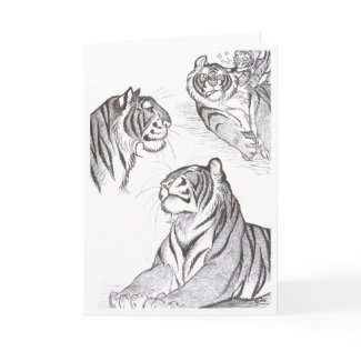 Tigers in black greeting card card