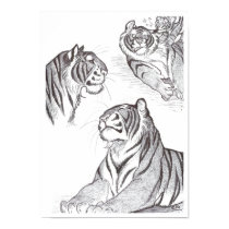 Tigers in black poster posters