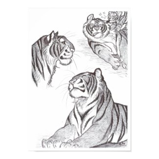 Tigers in black poster print