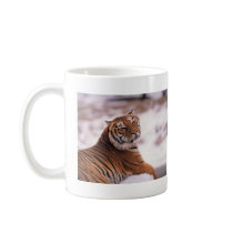 Tigers in the Wild Photos on Tees, Cards, Gifts Coffee Mugs
