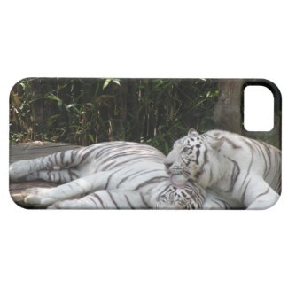 Tigers iPhone 5/iPhone 5S Barely There™ Case