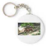 Tigers Key Chain