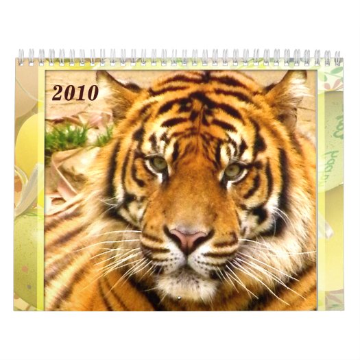 Tiger's & Lion's Expression_2010 Calendar calendar
