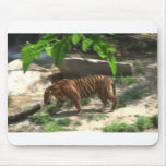 Tigers Mousepads