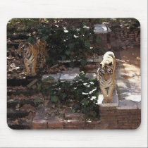 Tigers Mousepad mousepads