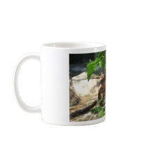 Tigers Coffee Mugs