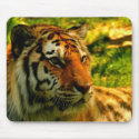 Tigers pad mousepads