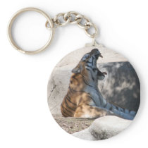 Tigers Roar Key Chains