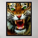 Tiger's Roar posters