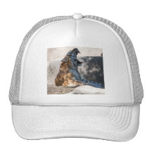 Tigers Roar Trucker Hat