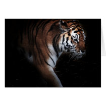 Tigers search cards