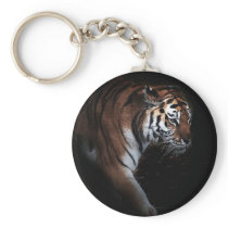 Tigers search keychains