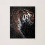 Tigers search puzzles
