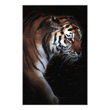 Tigers search stationery