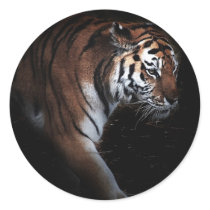 Tigers search sticker