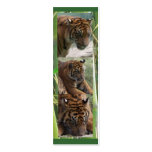 Tigers Three, Mini Bookmarks Business Card Template