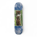 Tigers Three skateboards by SeaAngel Tigers Three skateboards