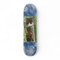Tigers Three skateboards