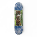 Tigers Three Skate Board Deck