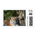 Tigers Together postage