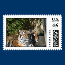 Tigers Together postage