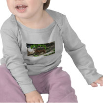 Tigers t-shirts