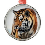 Tigers wild life ornament