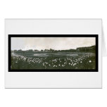Tigers World Series Photo 1907 Greeting Card