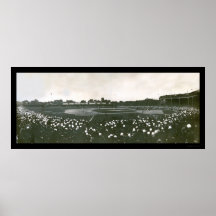 Tigers World Series Photo 1907 Poster
