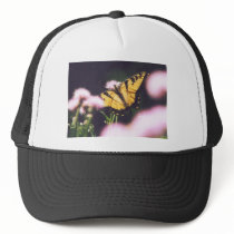 TigerSwallowtail hats