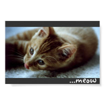 Tigger posters