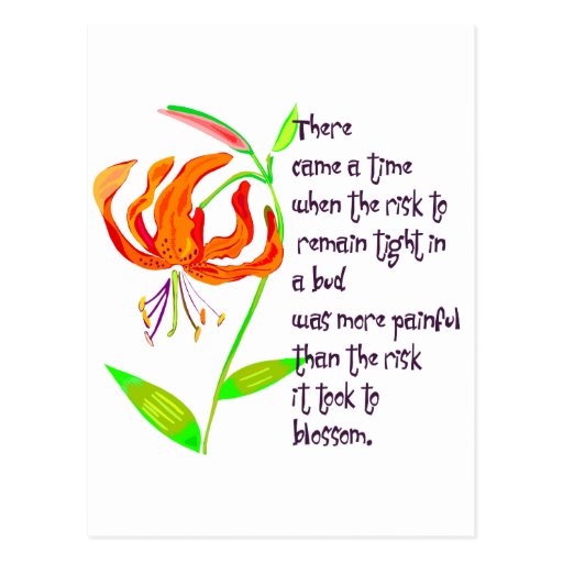 Tight in a Bud Postcard