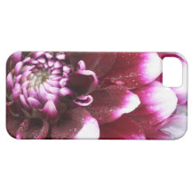 Tight in photographs of Dalhia flower with the iPhone 5 Case