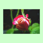 Tightly wound canvas prints