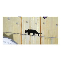 tightrope walking cat photo cards