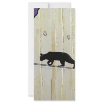 tightrope walking cat rack cards