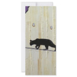 tightrope walking cat rack card